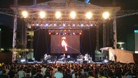 「Sundown Festival 2014」でのWEAVERのライブの様子。