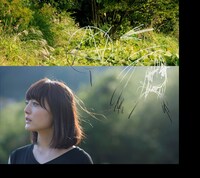 花澤香菜「こきゅうとす」初回限定盤ジャケット