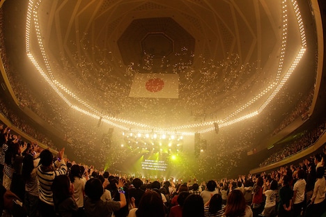 フジファブリック「10th anniversary LIVE at 武道館 2014」の様子。（撮影：河本悠貴）