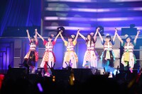 チームしゃちほこ