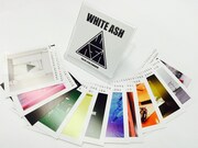 WHITE ASH「The Best Nightmare For Xmas」購入者特典のカレンダー。