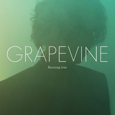GRAPEVINE「Burning tree」初回限定盤ジャケット