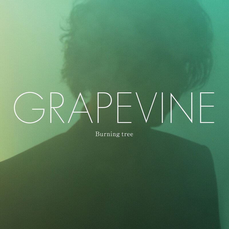 GRAPEVINE「Burning tree」初回限定盤ジャケット