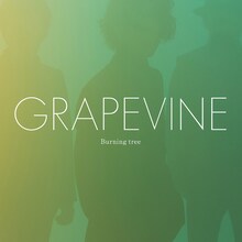 GRAPEVINE「Burning tree」通常盤ジャケット