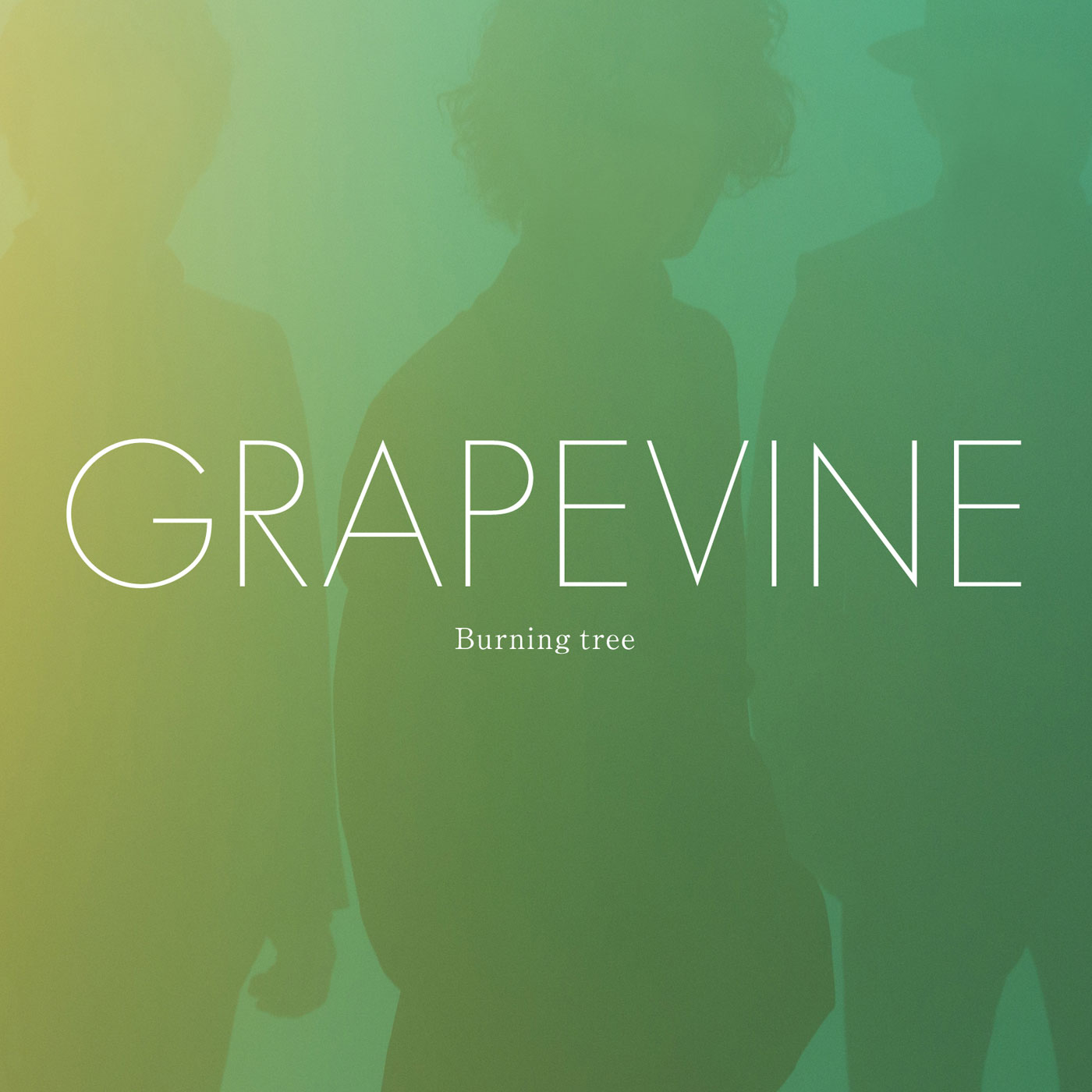 GRAPEVINE「Burning tree」通常盤ジャケット