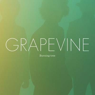 GRAPEVINE「Burning tree」通常盤ジャケット