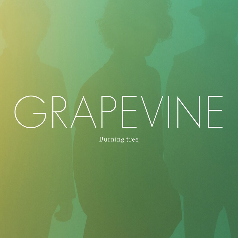 GRAPEVINE「Burning tree」通常盤ジャケット