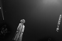 椎名林檎「林檎博'14 -年女の逆襲-」11月29日埼玉・さいたまスーパーアリーナ公演の様子。 （撮影：太田好治、中島未来）