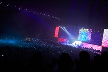 椎名林檎「林檎博'14 -年女の逆襲-」11月29日埼玉・さいたまスーパーアリーナ公演の様子。 （撮影：太田好治、中島未来）