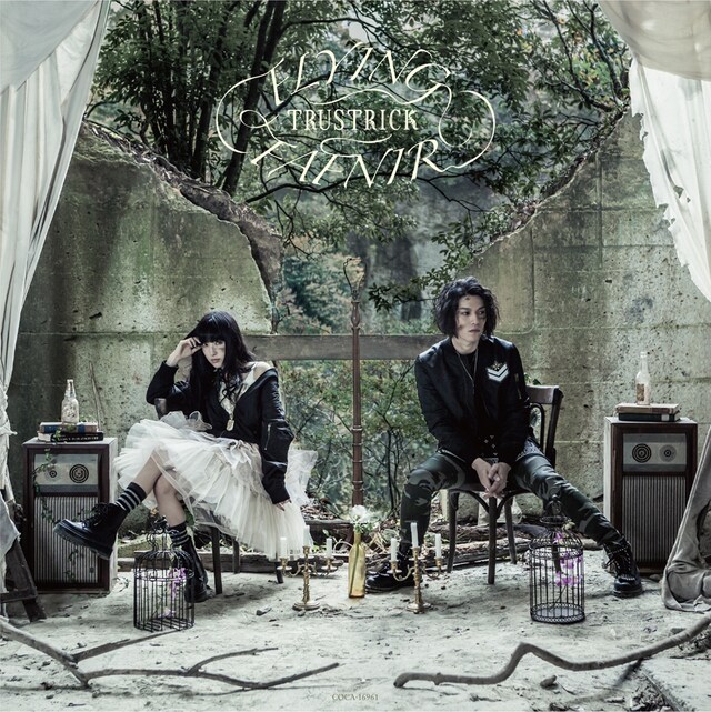 TRUSTRICK「FLYING FAFNIR」Type-Bジャケット