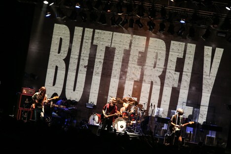 「aobozu LIVE 2014 ～蚕の鼓笛、繭は踊る～」東京・新木場STUDIO COAST公演の様子。