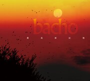 bacho「最高新記憶」ジャケット