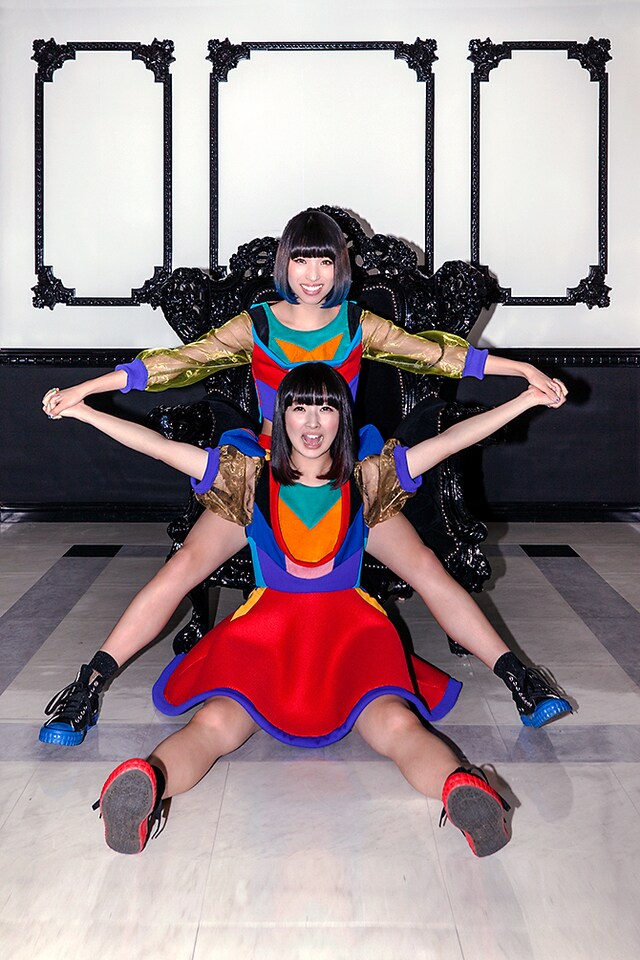 プラニメ。下がミズタマリ。