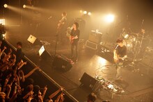 NICO Touches the Walls（撮影：河本悠貴）