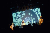 「ふくろうずの大忘年会～今年東京であんまりライブしなくてごめんねワンマン～」の様子。（撮影：中島未来）