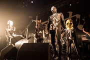 アルカラ「ガイコツアー2014」東京・Zepp Tokyo公演の様子。（Photo by AZUMA Tatsuya）