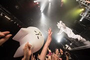 アルカラ「ガイコツアー2014」東京・Zepp Tokyo公演の様子。（Photo by AZUMA Tatsuya）