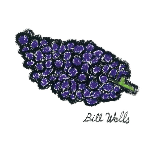 テニスコーツ「Hope you are Wells」ジャケット