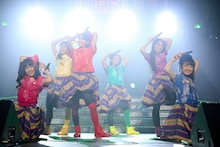 チームしゃちほこ「ホールツアー2014～僕らのカラオケワンダーランド～」の様子。