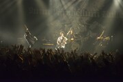 「Next Bullet Marks Tour 2014」新木場STUDIO COAST公演より9mm Parabellum Bulletのライブの様子。（撮影：橋本塁［SOUND SHOOTER］）