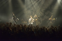 「Next Bullet Marks Tour 2014」新木場STUDIO COAST公演より9mm Parabellum Bulletのライブの様子。（撮影：橋本塁［SOUND SHOOTER］）