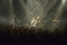 「Next Bullet Marks Tour 2014」新木場STUDIO COAST公演より9mm Parabellum Bulletのライブの様子。（撮影：橋本塁［SOUND SHOOTER］）