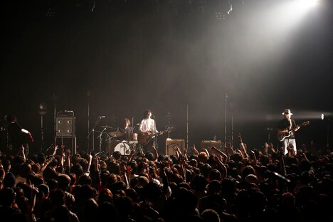 クリープハイプ(撮影:上飯坂一)