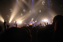 「BONNIE PINK TOUR 2014 FINAL "Still 19"」の様子。