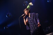 「BONNIE PINK TOUR 2014 FINAL "Still 19"」の様子。