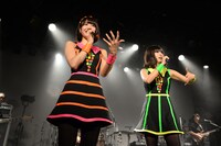 バニラビーンズLIQUIDROOMワンマンライブの様子。