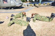 サーキットトレーニングを行うアップアップガールズ（仮）。