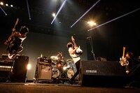 9mm Parabellum Bullet（撮影：渡邉一生）