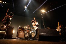 9mm Parabellum Bullet（撮影：渡邉一生）