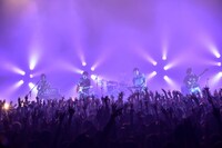 キュウソネコカミ（Photo by Azusa Takada）