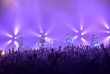 キュウソネコカミ（Photo by Azusa Takada）