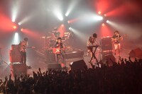 キュウソネコカミ（Photo by Azusa Takada）