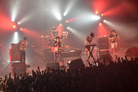 キュウソネコカミ（Photo by Azusa Takada）