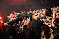 ヤマサキセイヤ（キュウソネコカミ）（Photo by Azusa Takada）