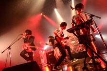 キュウソネコカミ（Photo by Azusa Takada）