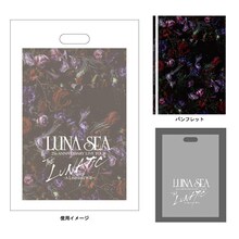 LUNA SEA 25th ANNIVERSARY LIVE TOUR THE LUNATIC -A Liberated Will- THE LUNATICツアー&ライブパンフレット バッグ付き