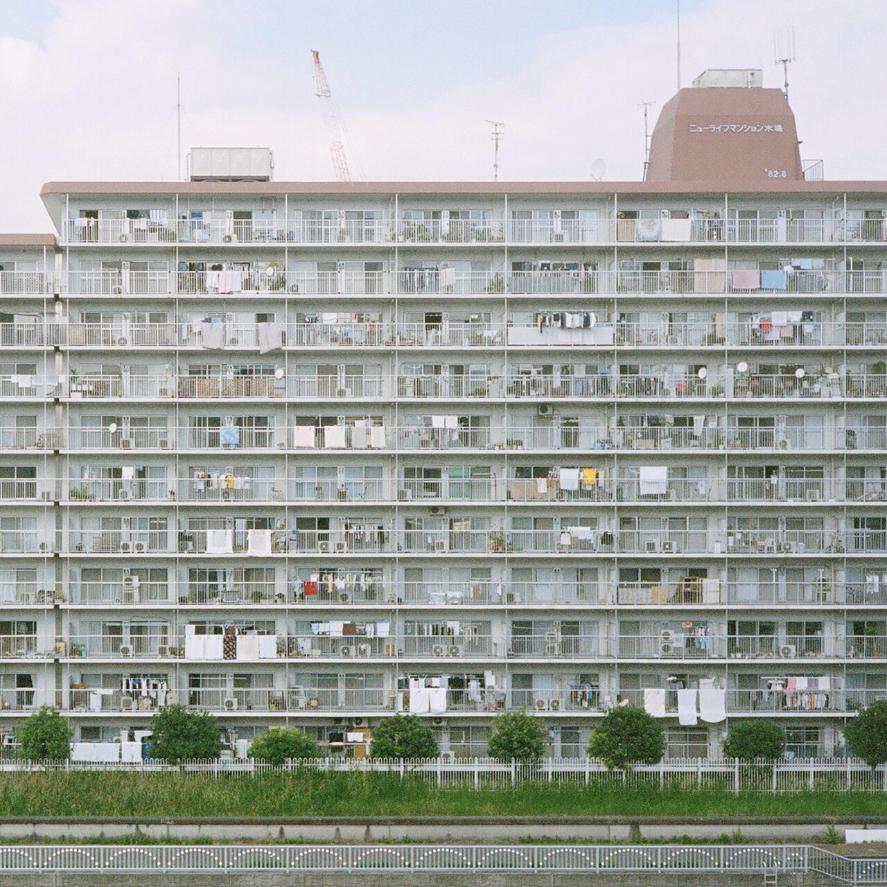 即興シーンと東京インディーシーンをつなぐバンド、毛玉が初アルバム