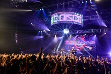 the telephones「SUPER DISCO Hits 9 !!! CENTER OF THE DISCO!!!～TDCの真ん中でDISCOを叫ぶ～」の様子。（Photo by Azusa Takada）