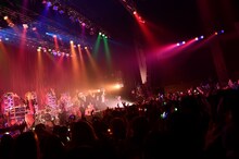 カメレオ（撮影：江隈麗志）