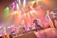 カメレオ（撮影：江隈麗志）