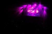 amazarashi LIVE TOUR 2014「夕日信仰ヒガシズム」渋谷公会堂公演の様子。