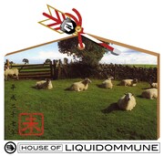 「HOUSE OF LIQUIDOMMUNE」フライヤー