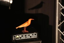 FOLKS「CAMP FIRE #FOLKS」北海道・Sound Lab mole公演の様子。（Photo by Kaoru Chiba）