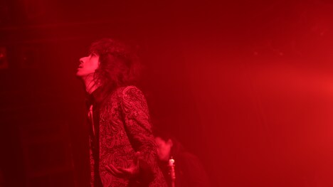 清春（撮影：今井俊彦、宮脇進、青木早霞）