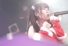 けちょん （撮影：ハヤシサトル）