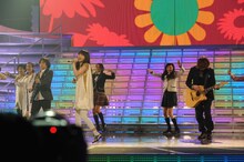 いきものがかり